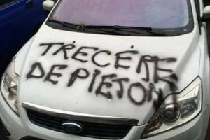 Tulcea. Ce a patit un sofer care a parcat pe trecerea de pietoni?
