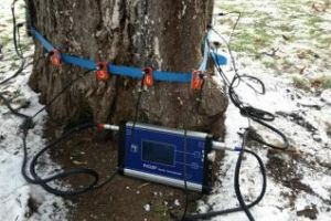 Primăria Cluj a cumpărat un tomograf de 130.000 de lei, pentru monitorizarea sănătăţii copacilor FOTO