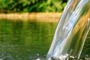 Alarmă de gradul zero: Superbacterii REZISTETE la ANTIBIOTICE colonizează lacuri şi râuri