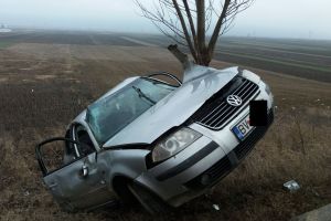 Un VW s-a urcat într-un copac