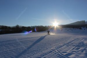 ”Ori faci ceva ce n-a mai văzut nimeni, ori te opreşti! În Wonderland e nevoie de altceva”