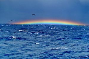 Ce se PETRECE, de fapt, în Triunghiul BERMUDELOR! Oamenii de ştiinţă SPULBERĂ misterul