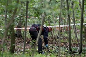 Descoperire ingrozitoare într-o pădure din Prundeni