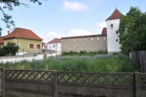 Anul acesta ar putea începe amenajarea unui Skate Park lângă Turnul Dogarilor