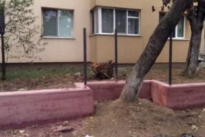 Curtea de CONTURI a stabilit PREJUDICIUL ENORM adus de Primăria Sector 3 din cauza NEGLIJENȚEI