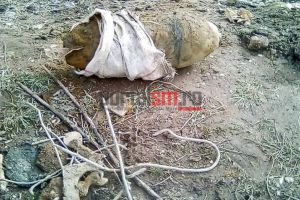 UPDATE. FOTO. Bombă găsită la Satu Mare. Un ţigan vrut să o predea la fier vechi!