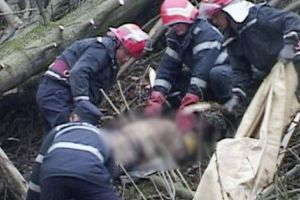 În comă după ce un copac l-a lovit în cap