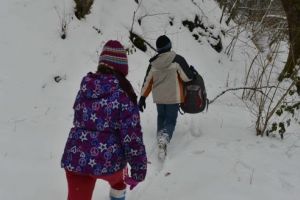 Lista şcolilor din judeţ care vor fi închise