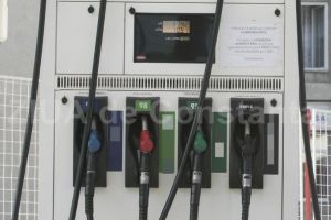 O societate din Oradea livreaza motorina pentru Institutul de Cercetare-Dezvoltare pentru Cresterea Ovinelor si Caprinelor Palas-Constanta (documente)