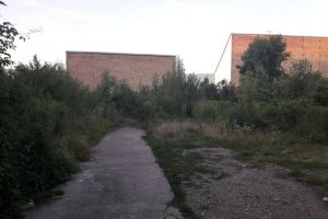 Ce şanse sunt să se facă parcare pe Bistricioarei. ”Există o singură rezolvare”