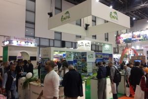 Timisoara se lauda cu un circuit evreiesc la Targul International de Turism de la Tel Aviv