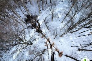 SOS! DEFRIŞĂRILE distrug CETATEA Sarmizegetusa Regia. FOTO