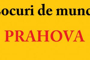 Locuri de munca Prahova/ 1.951 de  joburi disponibile in intreg judetul
