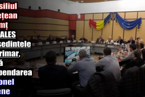 Consiliul Judeţean Neamţ şi-a ales preşedintele interimar, după suspendarea lui Ionel Arsene