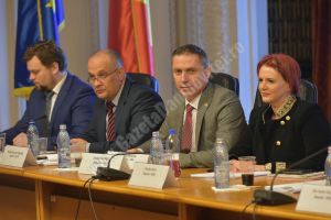 Agenda parlamentară: Claudia Gilia (PSD) – susţinere pentru programe educaţionale pentru românii din afara graniţelor