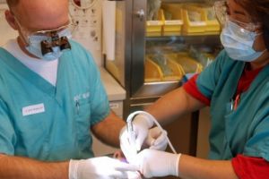 A mers cu băieţelul la stomatolog, dar acolo a decedat. Ce i-au făcut medicii