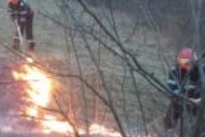 Incendii de vegetaţie pe foc automat! 12 în 7 zile, 6 într-o zi!