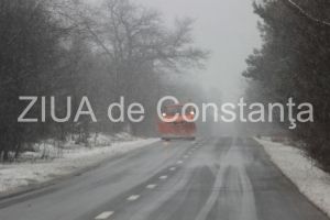 Mai multe judete sunt sub cod galben de ninsoare. Au fost activate Comitetele Judetene pentru Situatii de Urgenta 