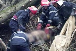 Bărbatul strivit de copac a murit