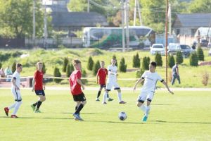 Luptă pentru trofeu