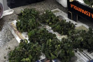 Primele urzici pe tarabele comercianţilor