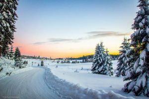 Condiţii foarte bune de schi, la Arieşeni şi Șureanu, în perioada 9-15 februarie. Sute de turişti, aşteptaţi în weekend pe pârtii