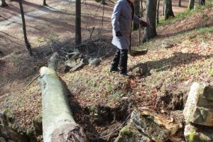 Sarmizegetusa Regia, sub lupa „intereselor” ecologiste