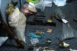 Percheziţii la braconieri. 50 de trofee, arme şi muniţii au fost ridicate