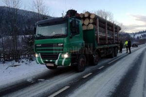 Sancţiuni de peste 20.000 de lei aplicate de Garda Forestieră, în urma controalelor la ...