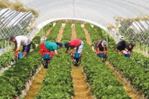 Peste 640 de locuri de munca disponibile pentru romani, in strainatate