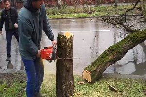 Salcami de 45 de ani cad sub drujbe la Timisoara, pe C.D. Loga