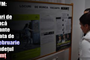 AJOFM: 426 locuri de muncă vacante la data de 10 februarie 2018 în judeţul Neamţ