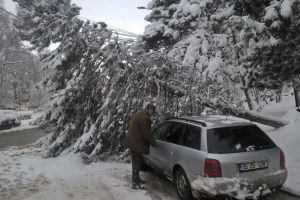 Arbori rupţi sau căzuţi, în mai multe zone ale Sucevei, din cauza zăpezii grele