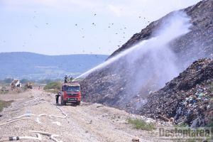 Garda de Mediu a aplicat, în 2017, sancţiuni în valoare de 139.000 de lei