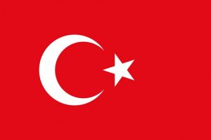 Turcia: Politia a retinut 31 de presupusi membri ai Statului Islamic   