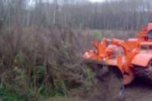 Ce se întâmplă în judeţul lui Dragnea 