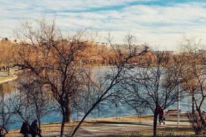 Caz ȘOCANT în Capitală. O femeie a fost găsită MOARTĂ în lacul din parcul IOR