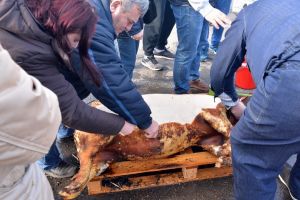 Bihorel: Şapte posibile locaţii pentru festivalul D’ale Porcului