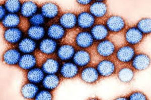 OLIMPIADA de IARNĂ, în PERICOL MAJOR. Un VIRUS PERICULOS, „PATOGENUL PERFECT”, loveşte tot mai mulţi SPORTIVI