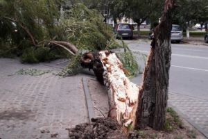(GALERIE FOTO) Judeţul Hunedoara, „luat pe sus” de vijelia puternică
