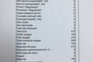 FOTO. Sunteţi angajat cu 2 ore? În loc de salariu mai trebuie să plătiţi 190 de lei la stat!