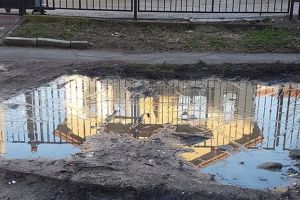 Parcarea din mocirla de pe spatiul verde ar putea disparea. Totul depinde de Agentia de Mediu