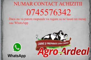 Agro-Ardeal cumpără bovine! Plata pe loc pentru sume până în 5.000 de lei