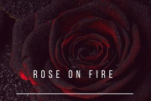 Primul DJ arădean, alături de INNA, Antonia şi Carla’s Dreams, la casa de discuri GLOBAL RECORDS. Despre cine este vorba