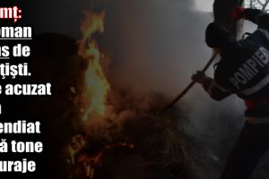 Neamţ: Piroman prins de poliţişti. Bărbatul este acuzat că a incendiat două tone de furaje