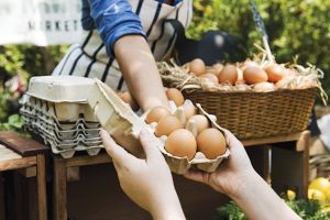 Oul, domniţa şi clientul