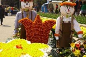 S-a decis perioada pentru Simfonia Lalelelor