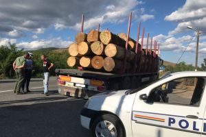 Scutul pădurii: Tânăr din Aiud, care transporta cherestea fără documente de provenienţă, sancţionat de poliţişti