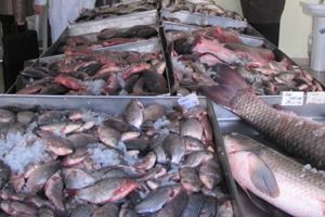 Sprijin financiar în domeniul acvaculturii