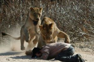 Africa de Sud: Un braconier a fost mâncat de lei